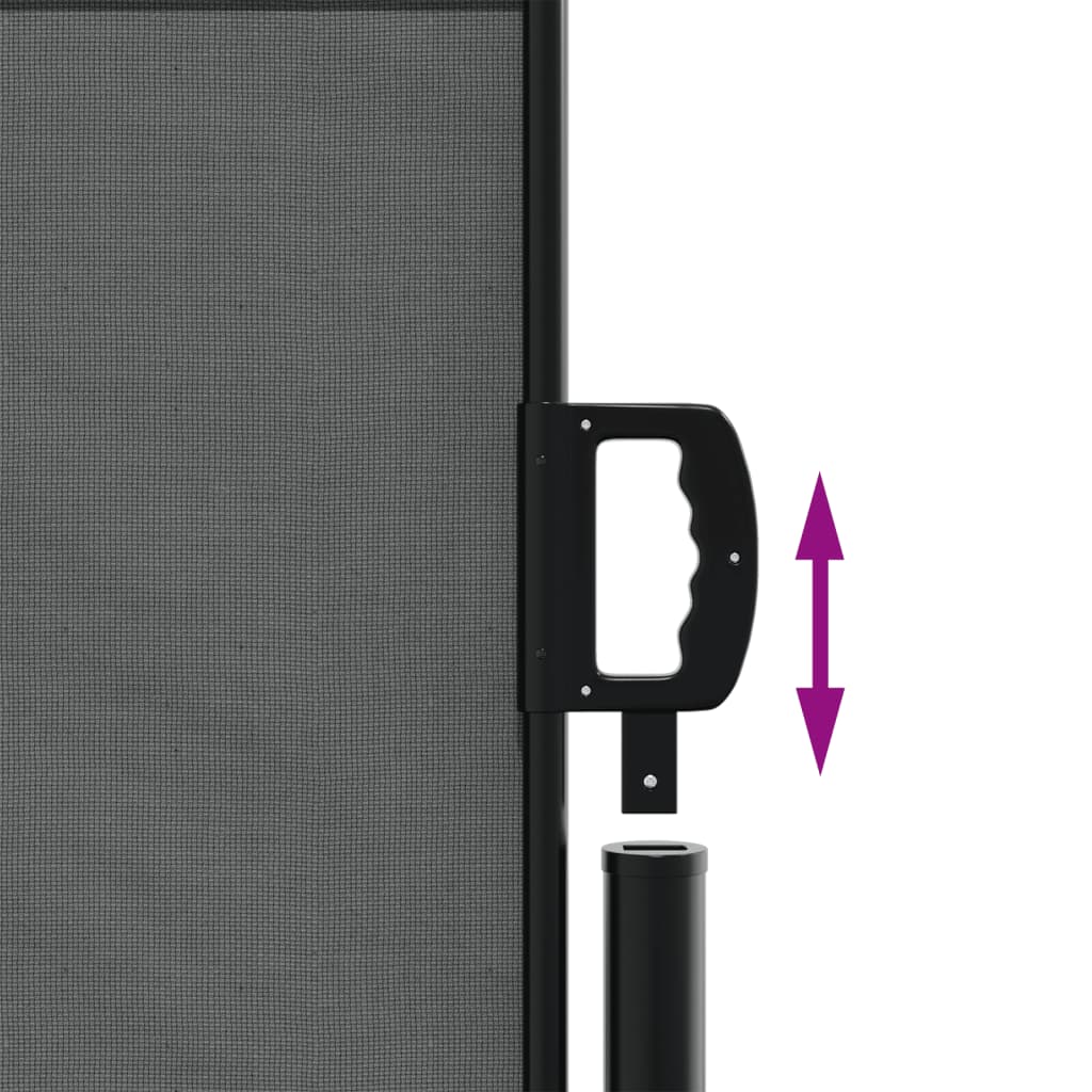 vidaXL Auvent latéral rétractable anthracite 120x300 cm