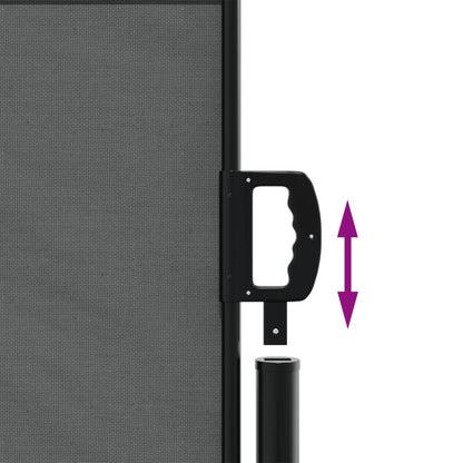 vidaXL Auvent latéral rétractable anthracite 120x300 cm