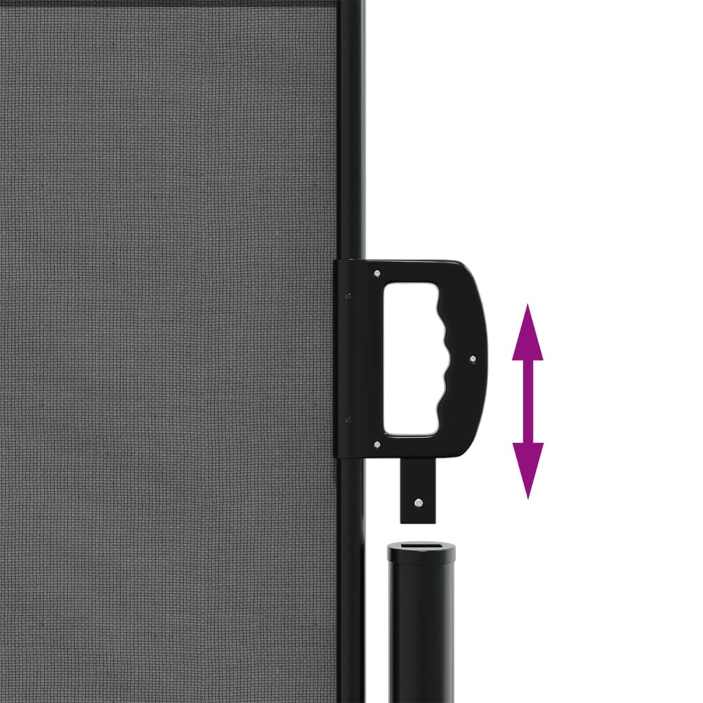 vidaXL Auvent latéral rétractable anthracite 140x300 cm