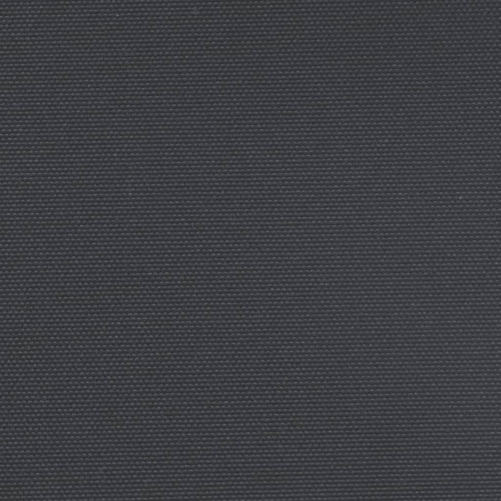 vidaXL Auvent latéral rétractable noir 160x300 cm