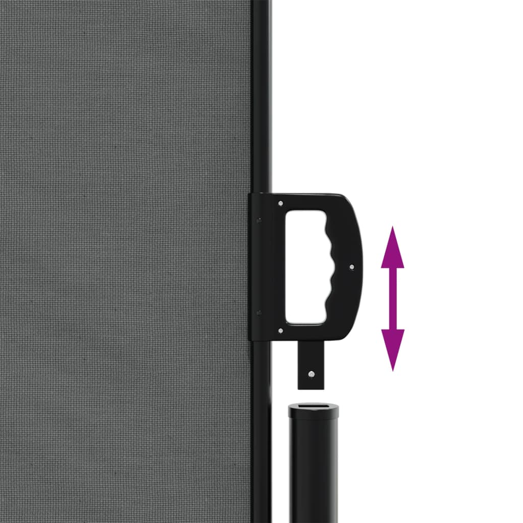 vidaXL Auvent latéral rétractable anthracite 160x300 cm