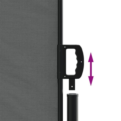 vidaXL Auvent latéral rétractable anthracite 200x300 cm