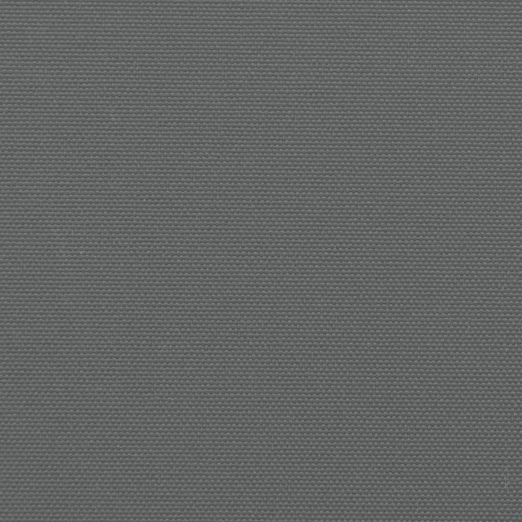 vidaXL Auvent latéral rétractable anthracite 160x500 cm
