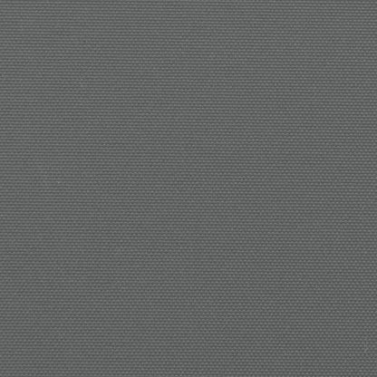 vidaXL Auvent latéral rétractable anthracite 160x500 cm