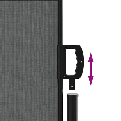 vidaXL Auvent latéral rétractable anthracite 120x600 cm