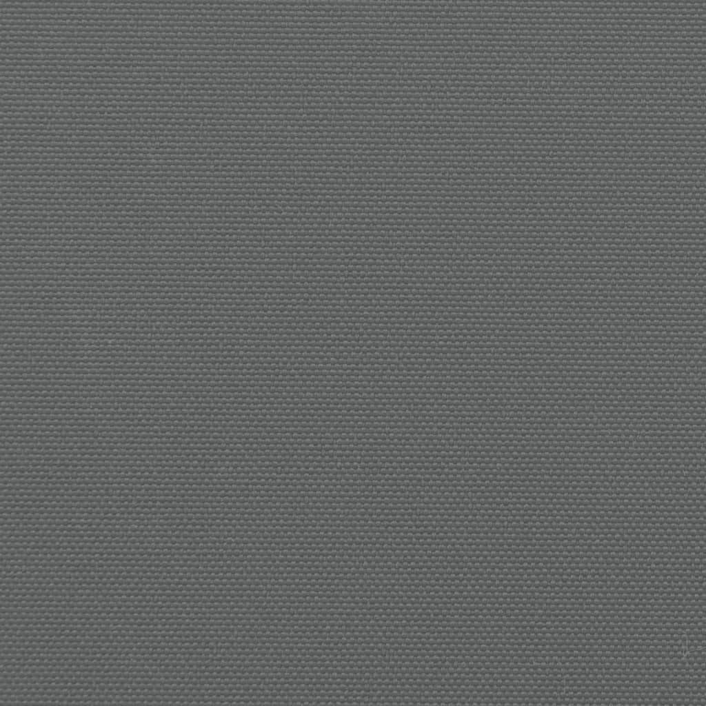 vidaXL Auvent latéral rétractable anthracite 120x600 cm