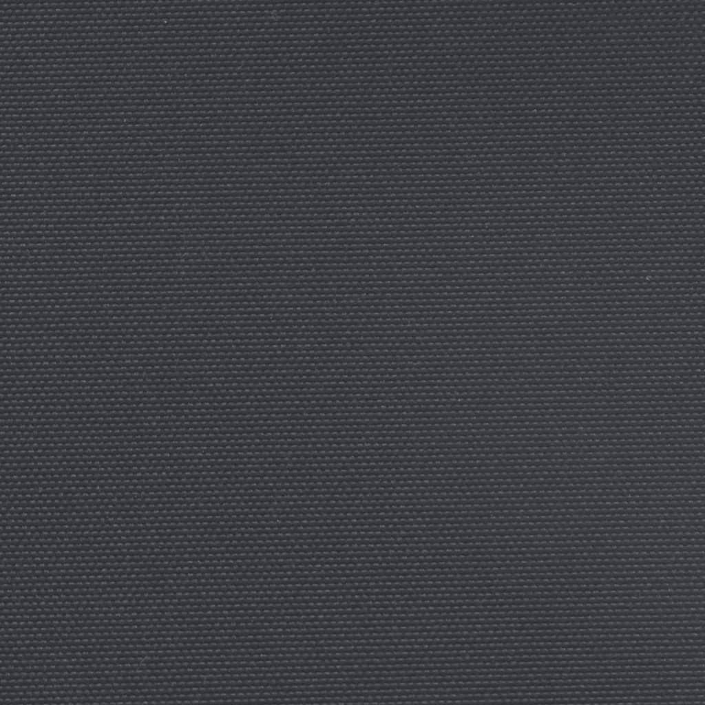 vidaXL Auvent latéral rétractable noir 120x1000 cm