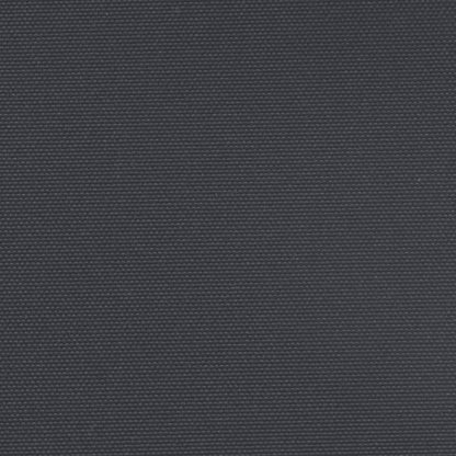 vidaXL Auvent latéral rétractable noir 120x1000 cm