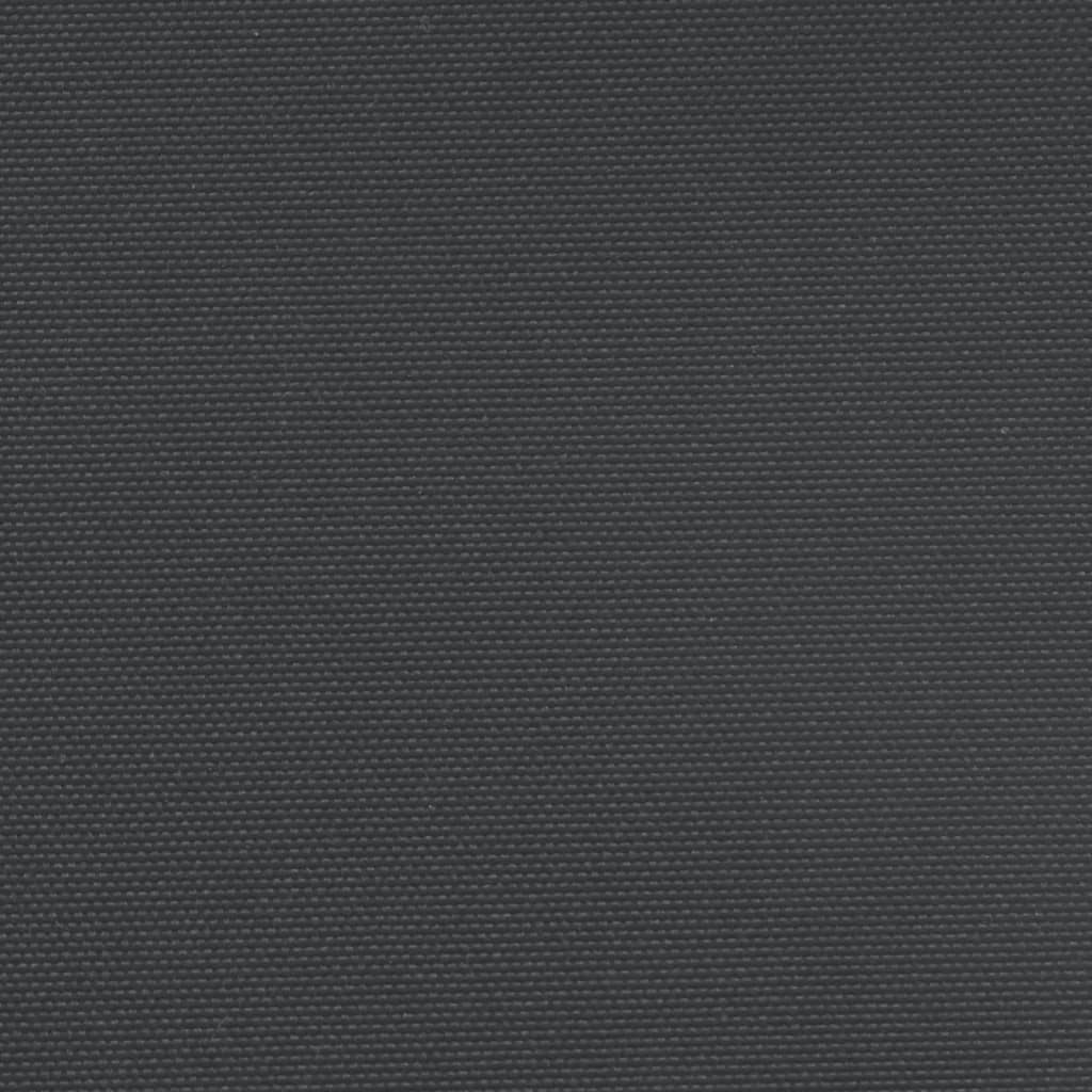 vidaXL Auvent latéral rétractable noir 140x1000 cm