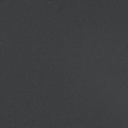 vidaXL Auvent latéral rétractable noir 140x1000 cm