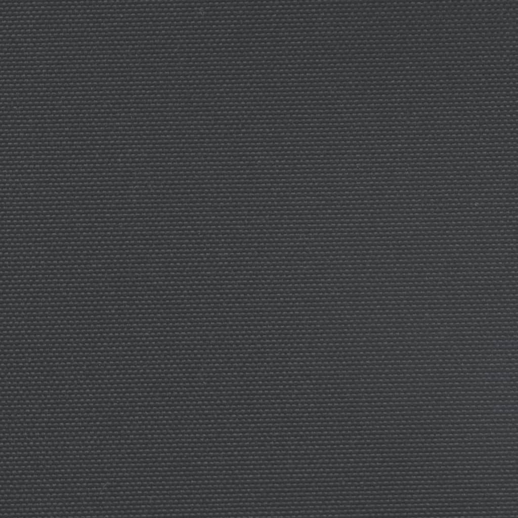 vidaXL Auvent latéral rétractable noir 120x1200 cm