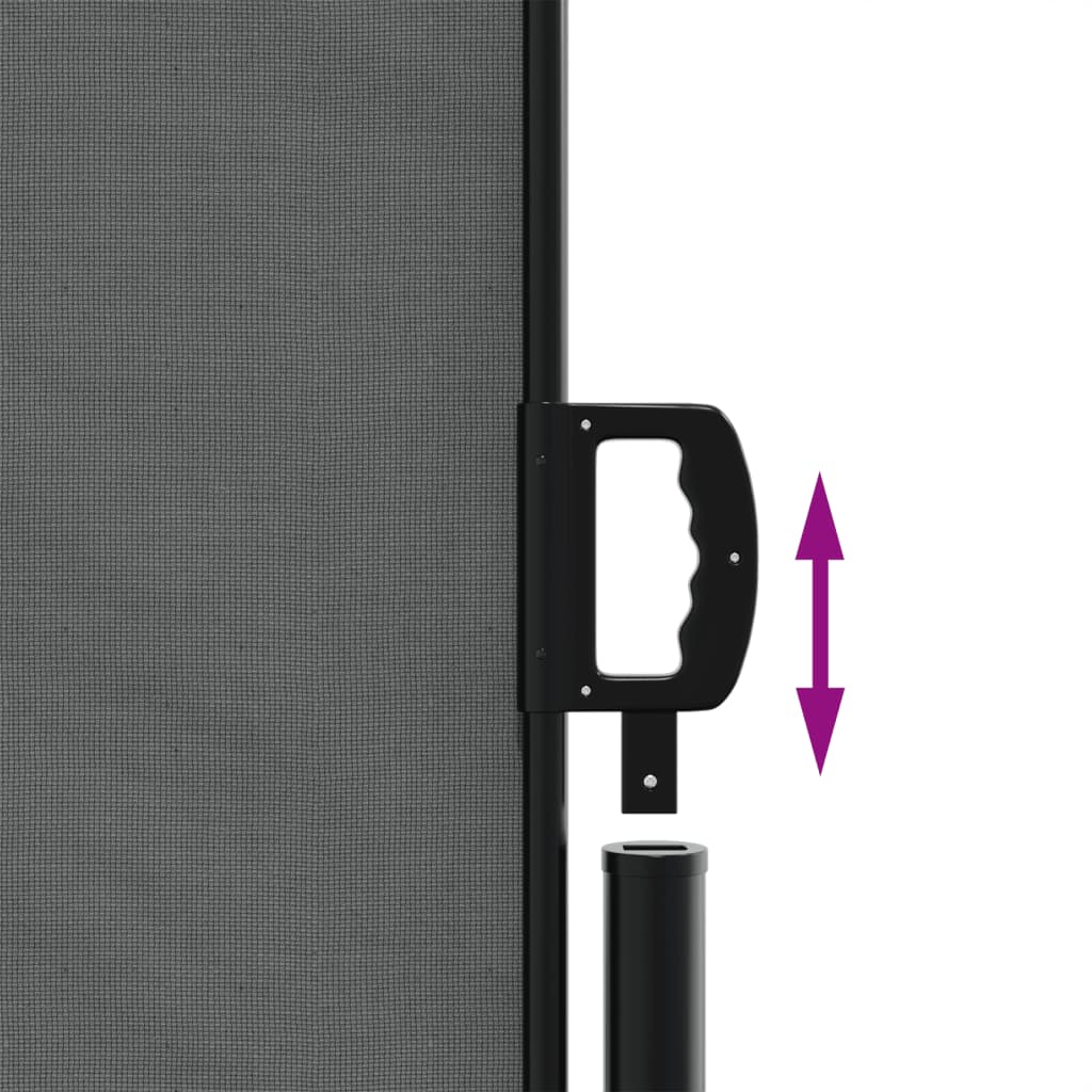 vidaXL Auvent latéral rétractable anthracite 160x1200 cm