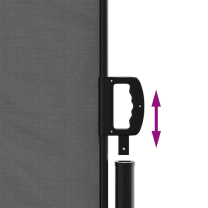 vidaXL Auvent latéral rétractable anthracite 160x1200 cm