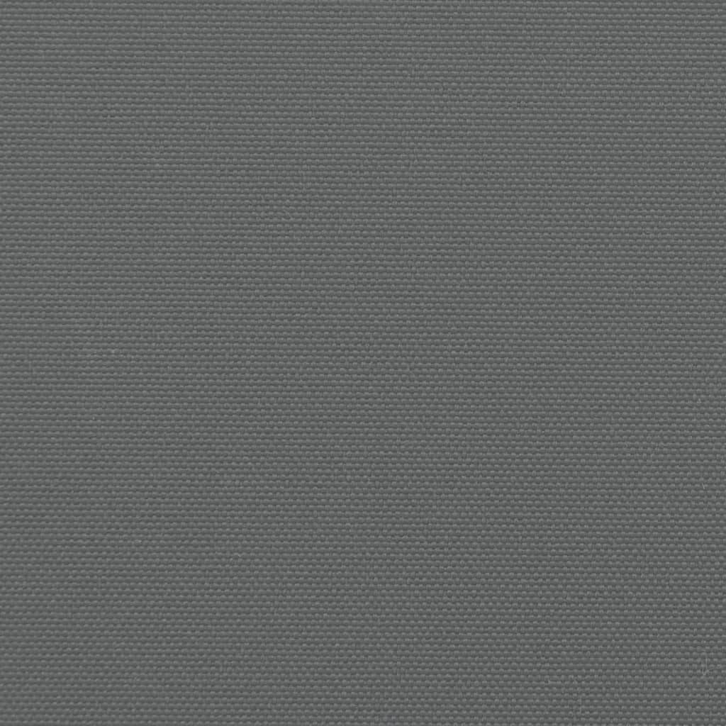 vidaXL Auvent latéral rétractable anthracite 160x1200 cm