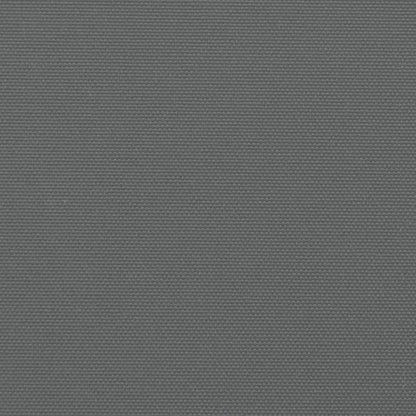 vidaXL Auvent latéral rétractable anthracite 160x1200 cm