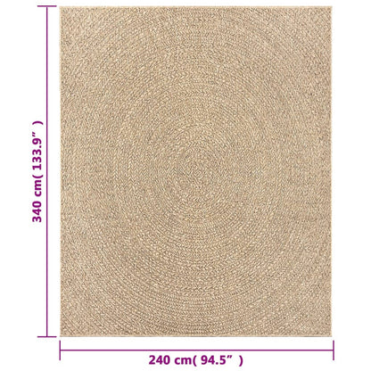 vidaXL Tapis ZIZUR 240x340 cm aspect de jute intérieur et extérieur