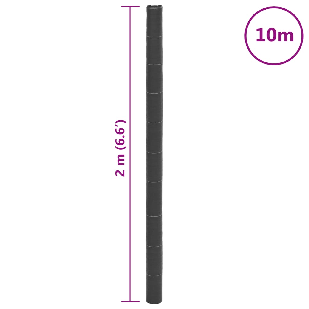 vidaXL Membrane anti-mauvaises herbes noir 2x10 m PP