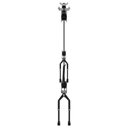 vidaXL Palans à vélo avec support de plafond 2 pcs 20 kg