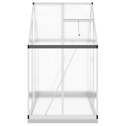 vidaXL Serre avec cadre de base argenté 169x114x202 cm aluminium