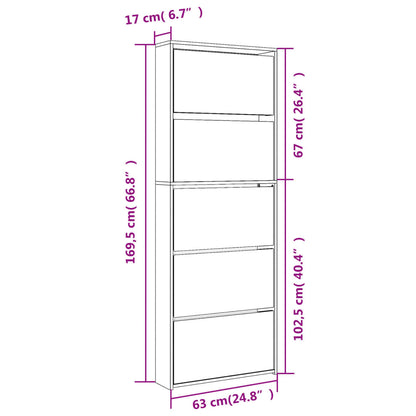 vidaXL Armoire à chaussures avec miroir 5 niveaux noir 63x17x169,5 cm