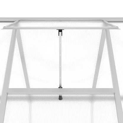 vidaXL Serre avec cadre de base argenté 334x169x195 cm aluminium