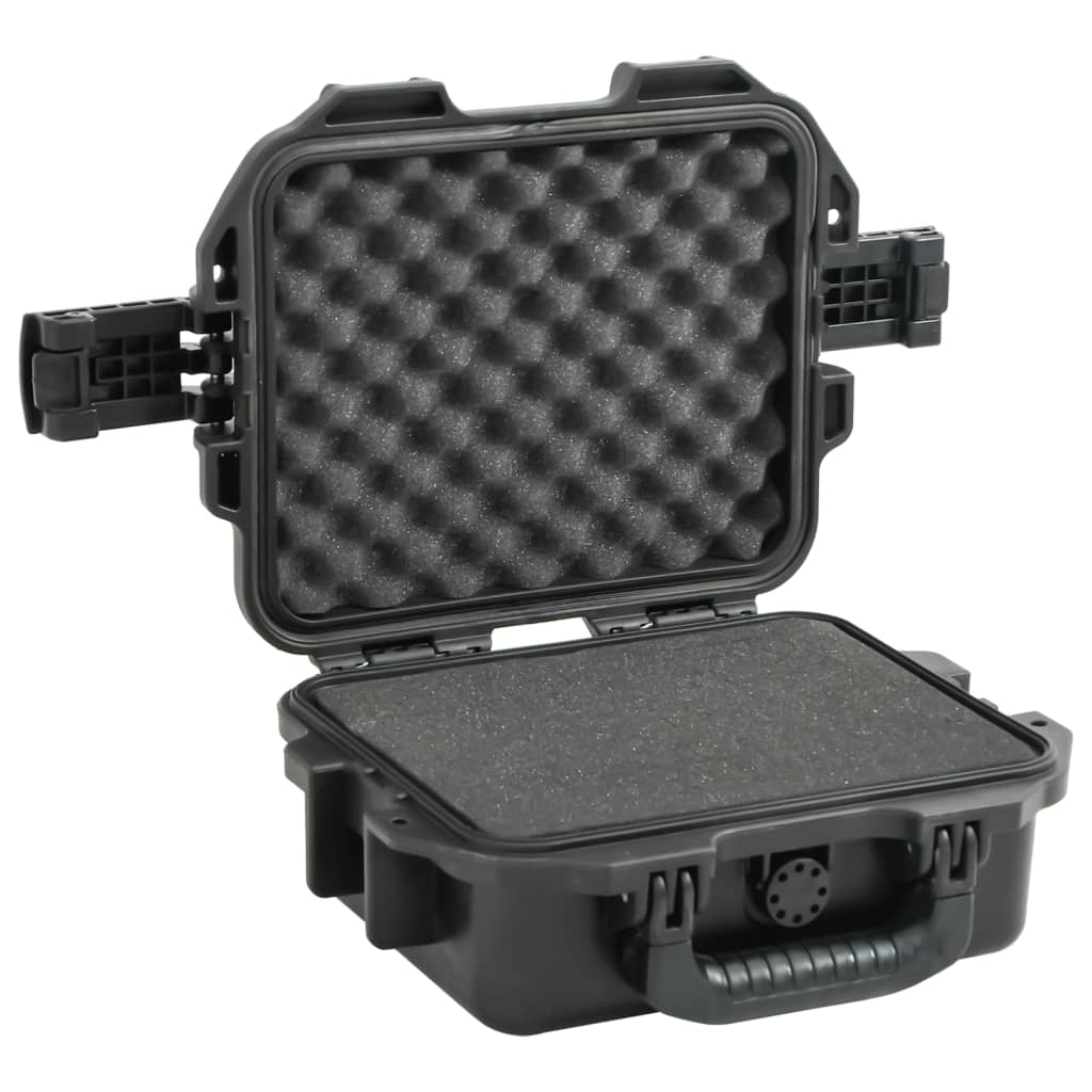 vidaXL Valise de vol portable Noir 30x24,5x12,5 cm PP