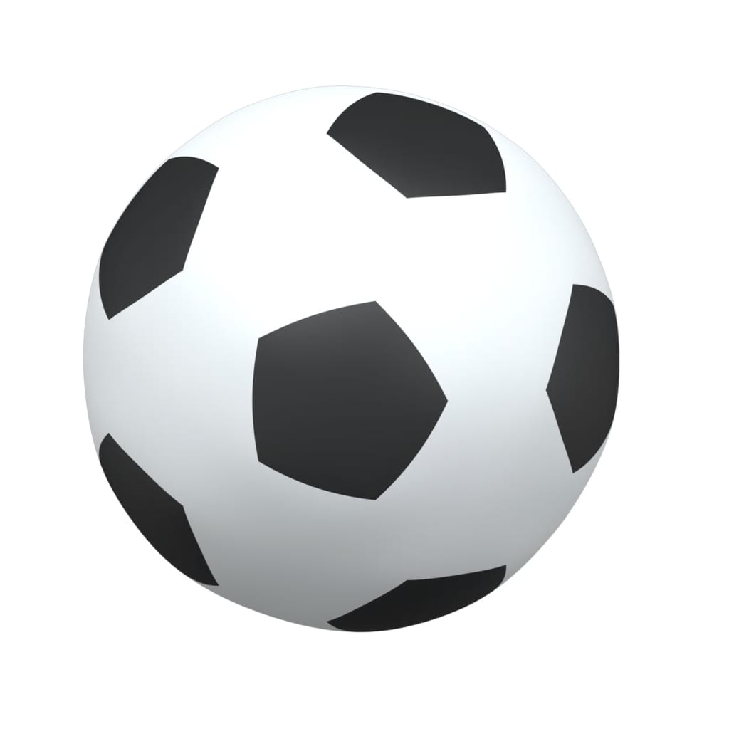 vidaXL Buts de football pour enfants 2 pcs avec ballon blanc métal