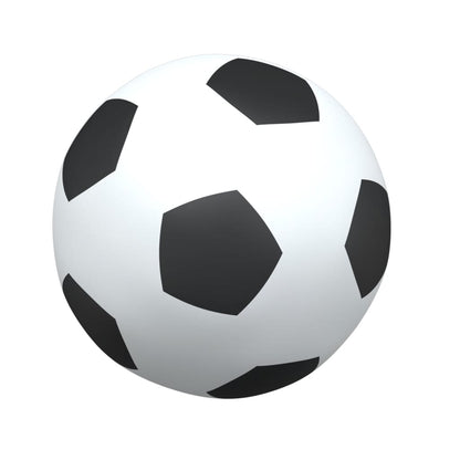 vidaXL Buts de football pour enfants 2 pcs avec ballon blanc métal