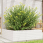 vidaXL Jardinière blanc 80x80x23 cm bois de pin massif