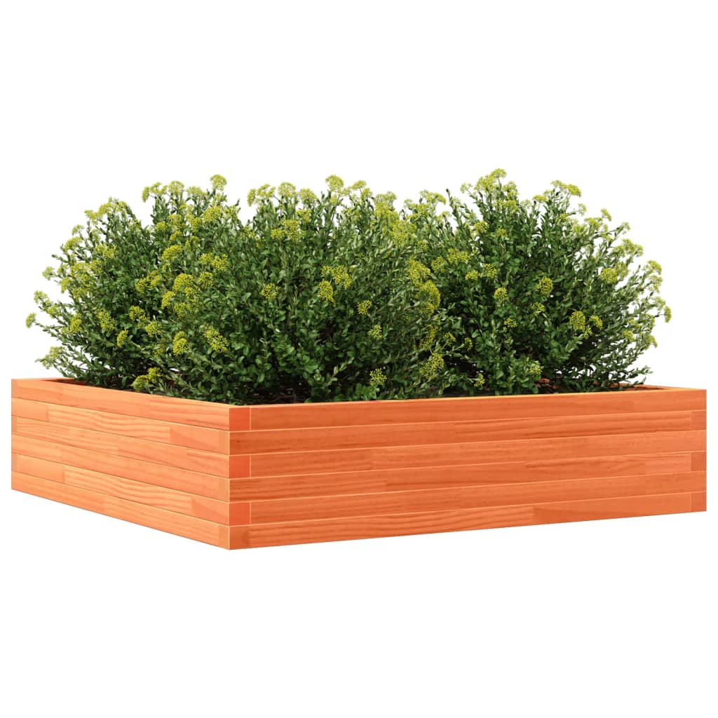 vidaXL Jardinière cire marron 100x100x23 cm bois de pin massif