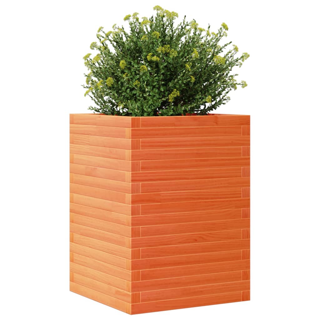 vidaXL Jardinière cire marron 50x50x68,5 cm bois de pin massif