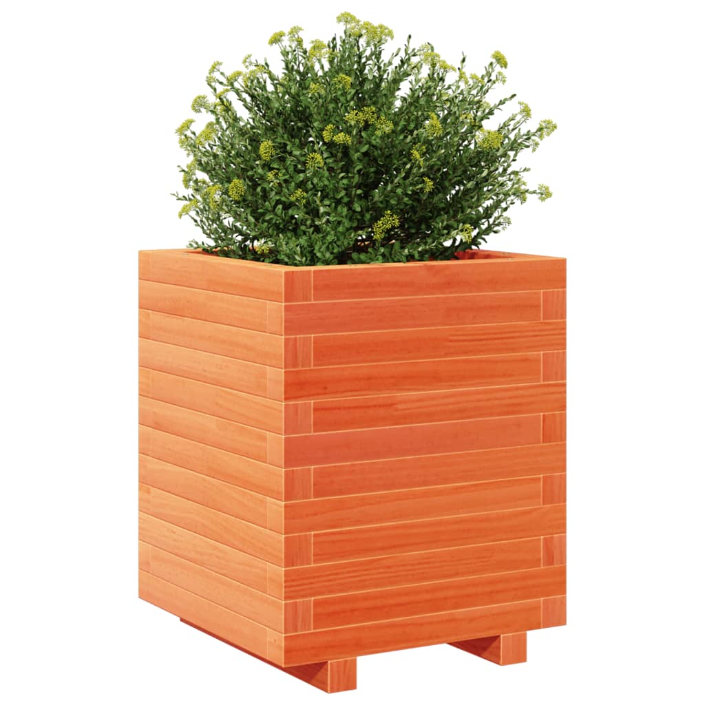 vidaXL Jardinière cire marron 40x40x49,5 cm bois de pin massif