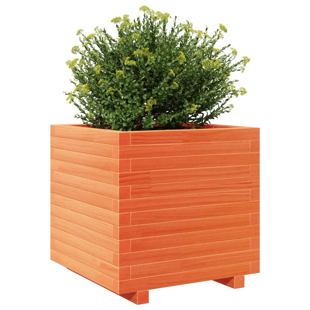vidaXL Jardinière cire marron 50x50x49,5 cm bois de pin massif