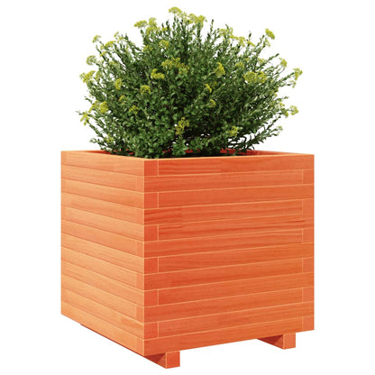 vidaXL Jardinière cire marron 50x50x49,5 cm bois de pin massif