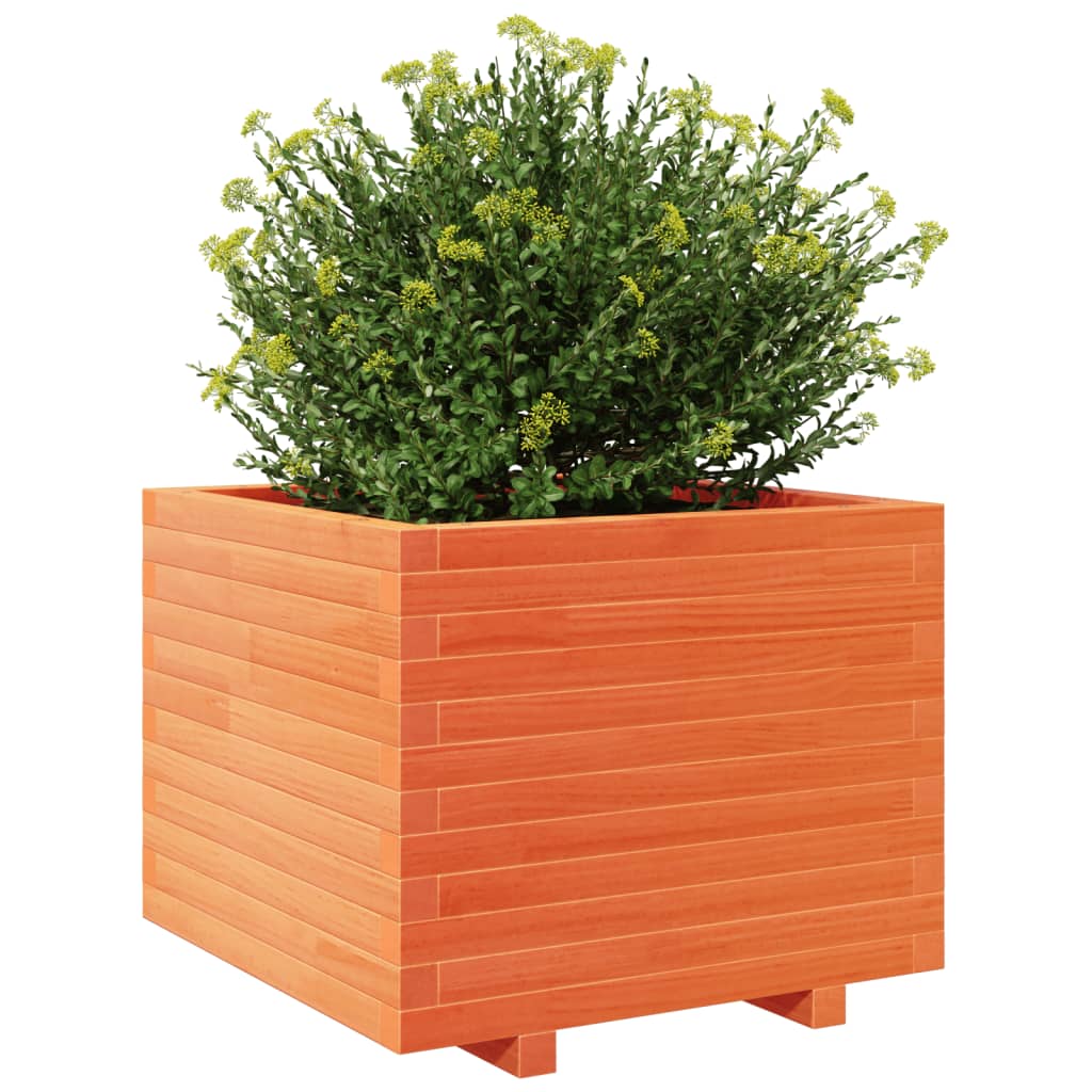 vidaXL Jardinière cire marron 60x60x49,5 cm bois de pin massif