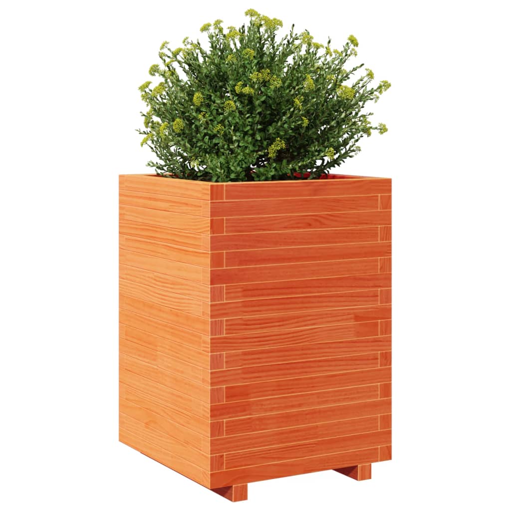 vidaXL Jardinière cire marron 50x50x72,5 cm bois de pin massif