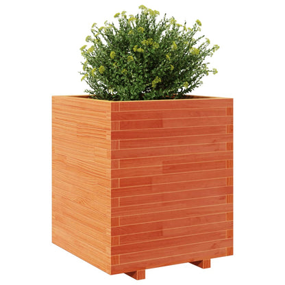 vidaXL Jardinière cire marron 60x60x72,5 cm bois de pin massif