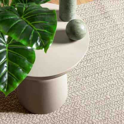 vidaXL Tapis ZIZUR crème 200x290 cm aspect de jute intérieur extérieur