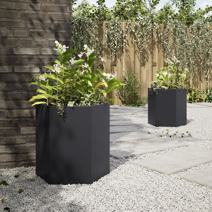 vidaXL Jardinières 2 pcs noir hexagone 46x40x45 cm acier