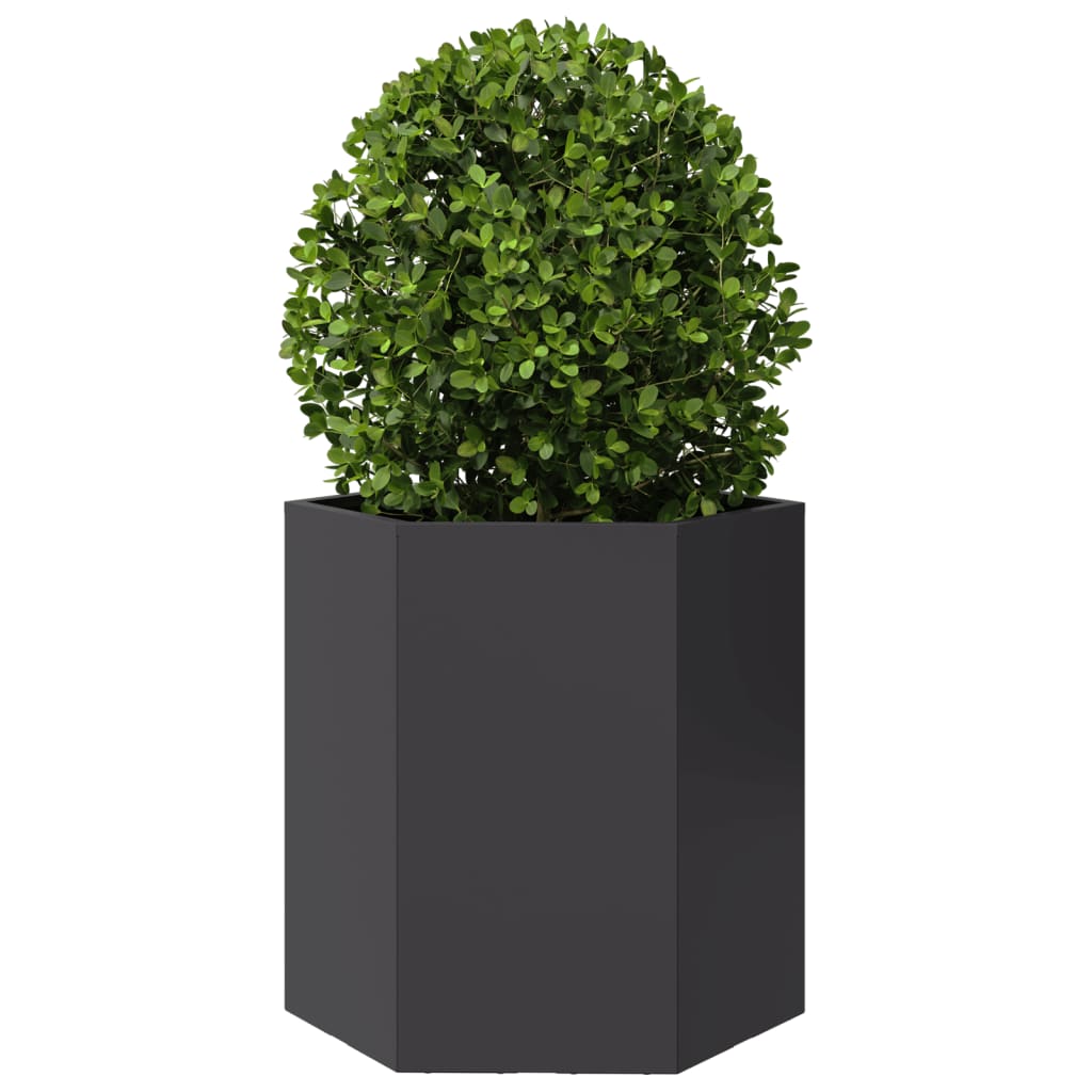 vidaXL Jardinières 2 pcs noir hexagone 46x40x45 cm acier