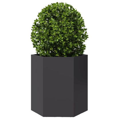 vidaXL Jardinières 2 pcs noir hexagone 46x40x45 cm acier