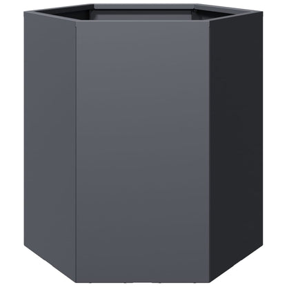vidaXL Jardinières 2 pcs anthracite hexagone 46x40x45 cm acier