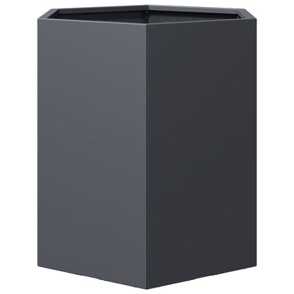 vidaXL Jardinières 2 pcs anthracite hexagone 46x40x45 cm acier