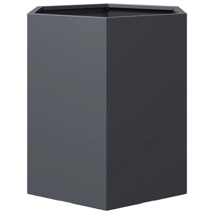 vidaXL Jardinières 2 pcs anthracite hexagone 46x40x45 cm acier