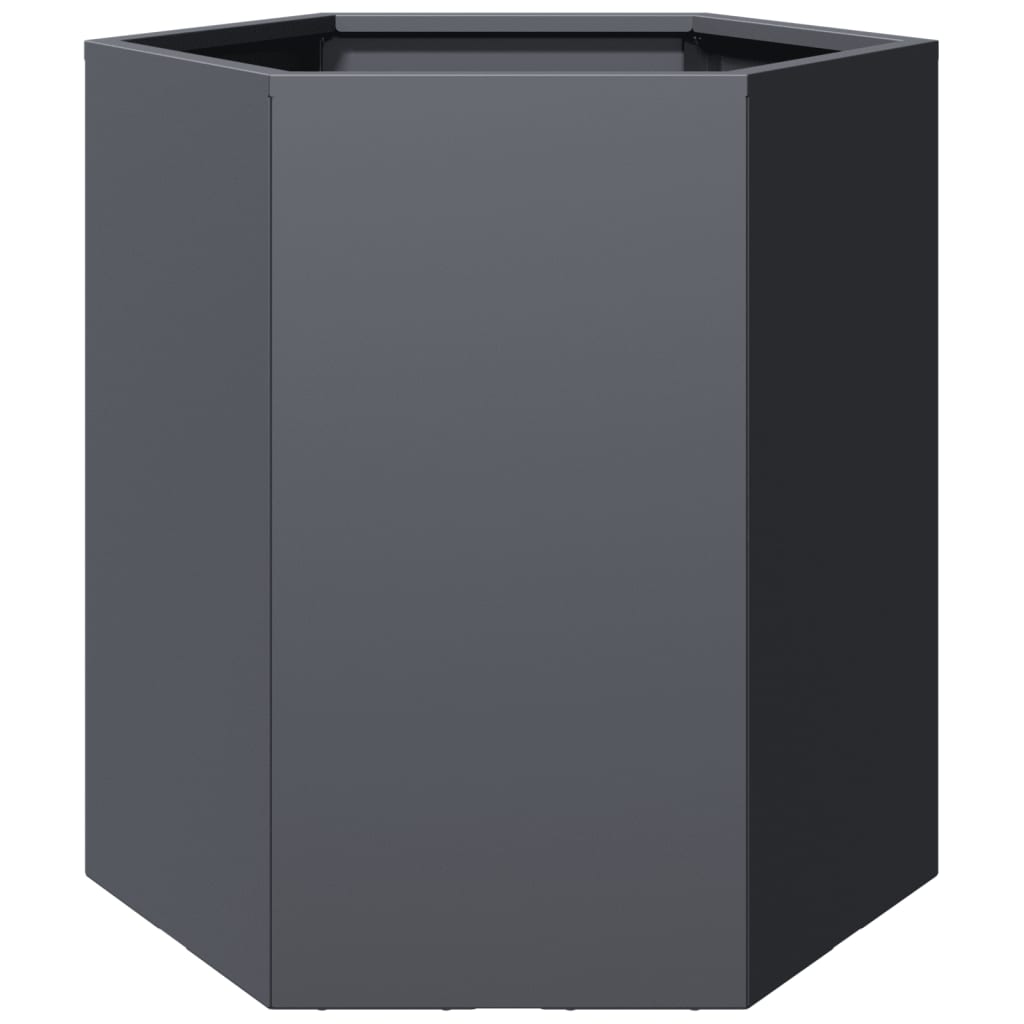 vidaXL Jardinières 2 pcs anthracite hexagone 46x40x45 cm acier