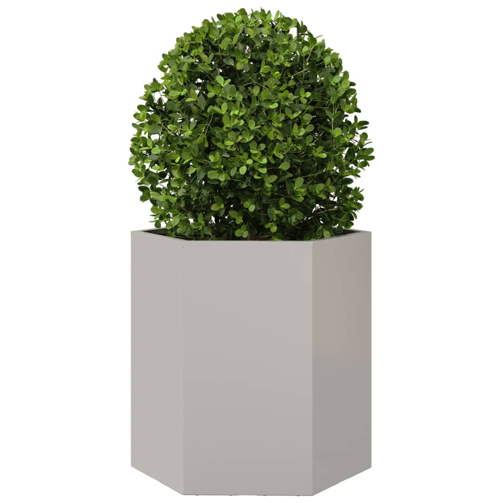 vidaXL Jardinières 2 pcs hexagone 46x40x45 cm acier inoxydable