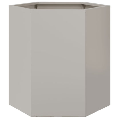 vidaXL Jardinières 2 pcs hexagone 46x40x45 cm acier inoxydable