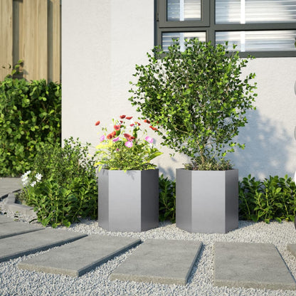 vidaXL Jardinières 2 pcs hexagone 46x40x45 cm acier galvanisé