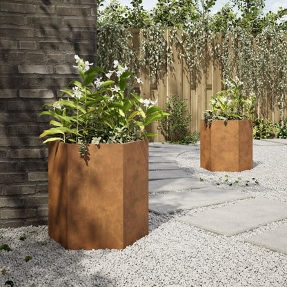 vidaXL Jardinières 2 pcs hexagone 46x40x45 cm acier corten