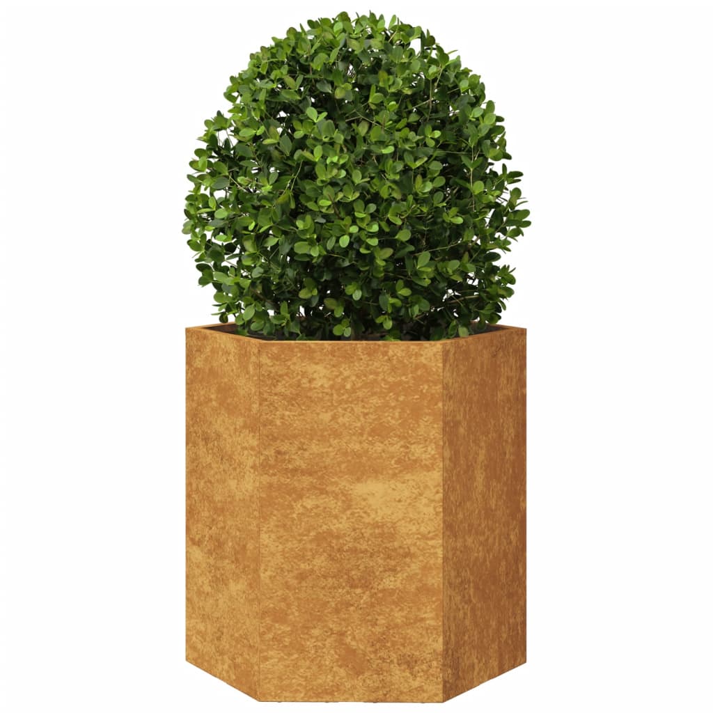 vidaXL Jardinières 2 pcs hexagone 46x40x45 cm acier corten